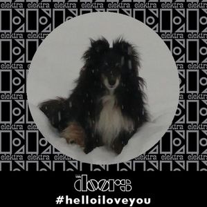 Meet your Posher, Melinda